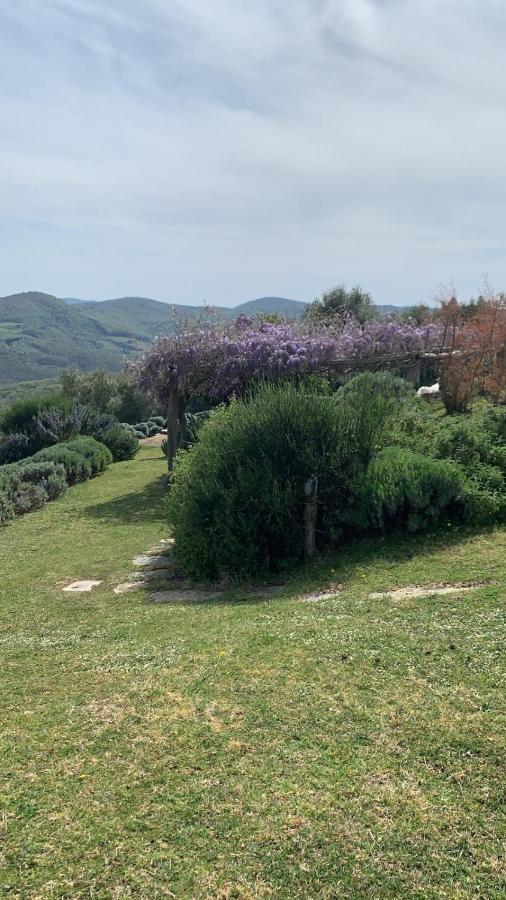 ראדה אין קיאנטי La Locanda Volpaia מראה חיצוני תמונה